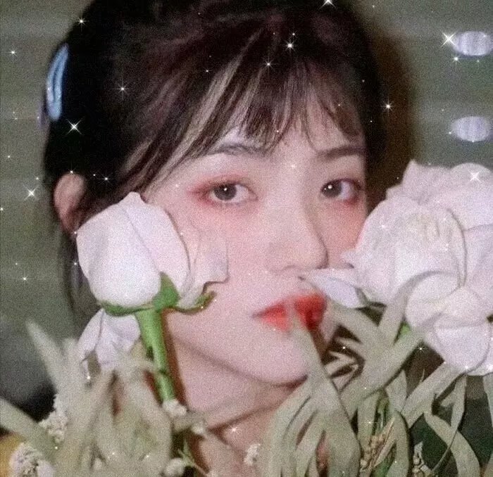 微笑如月
